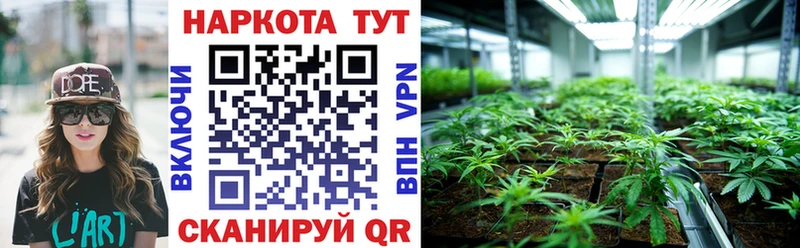Все наркотики Карталы Гашиш  Alpha PVP  Мефедрон  Конопля 
