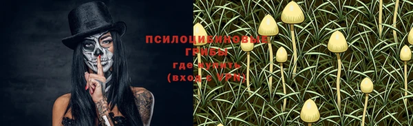 гашишное масло Долгопрудный