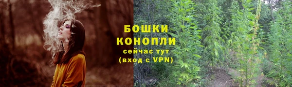 mdpv Домодедово