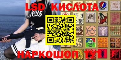 a pvp Заводоуковск