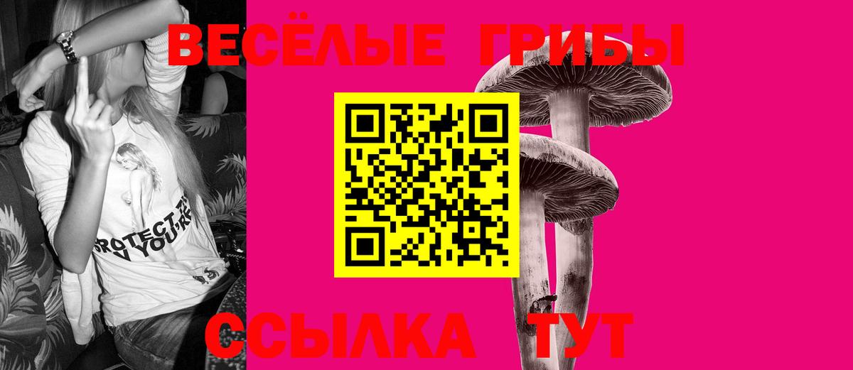 Галлюциногенные грибы Cubensis Карталы